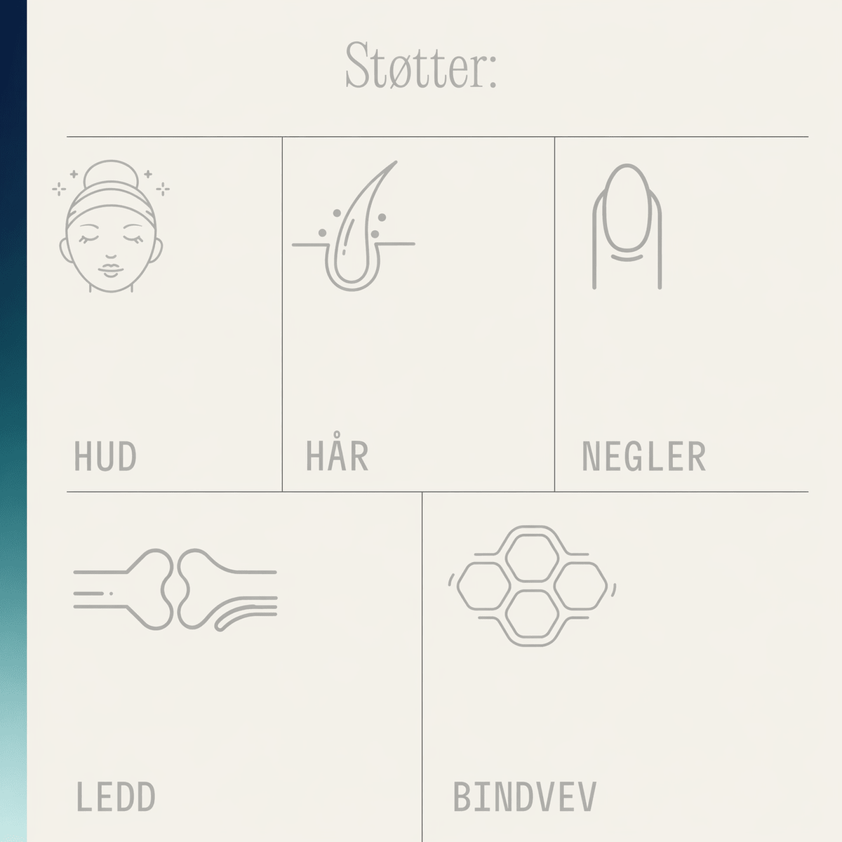 Pure Collagen for hud, hår, negler, bein og ledd